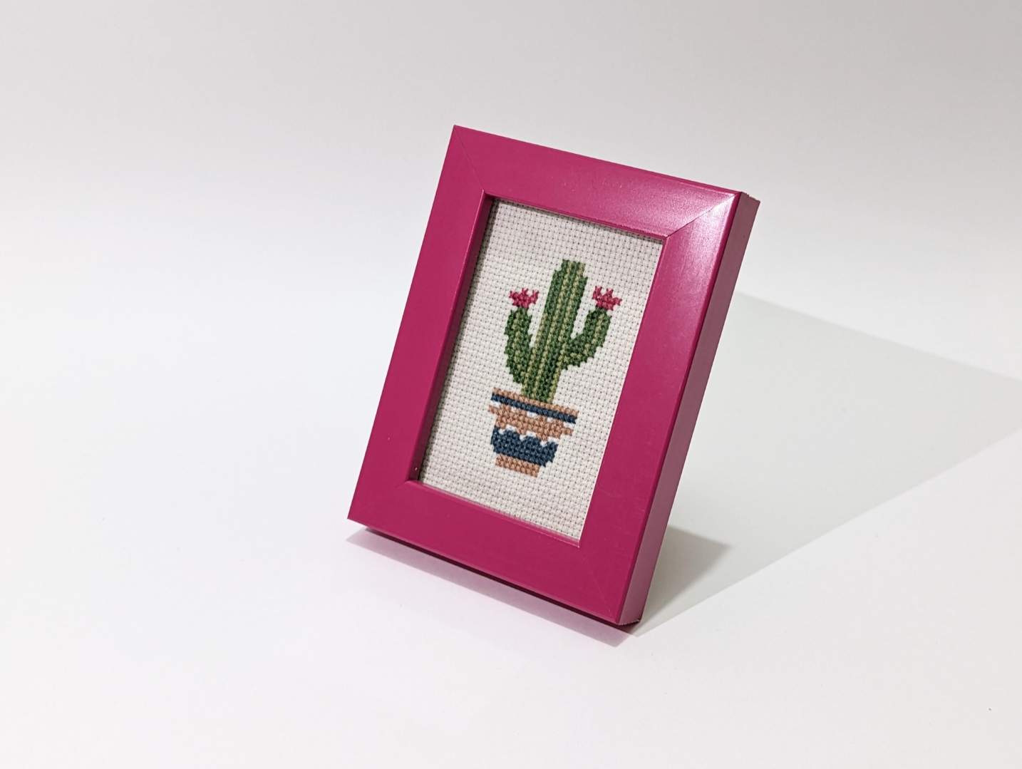 Embroidery Kit_Cactus With Flowers (With Pink Frame)