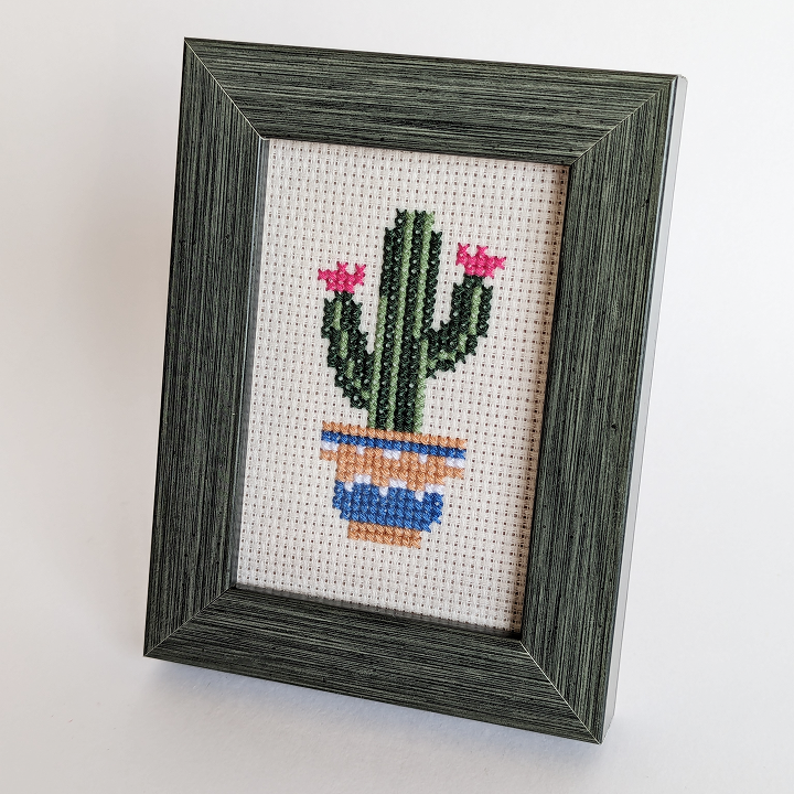 კაქტუსი ყვავილებით - კანვაზე ქარგვა